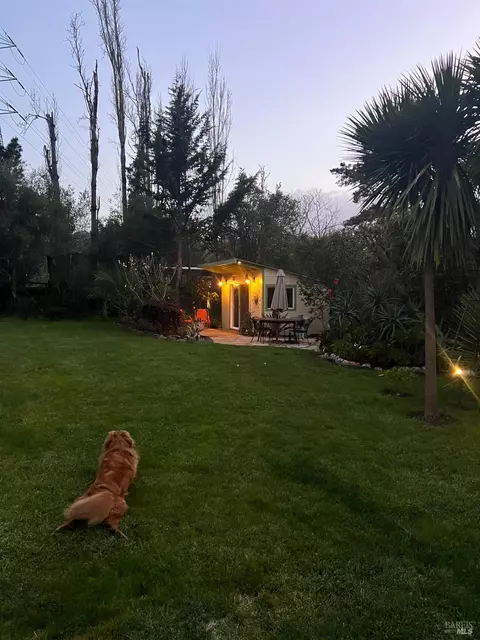 Exterior - 29 Shell Rd, Mill Valley, CA 94941 photo 11 of 11