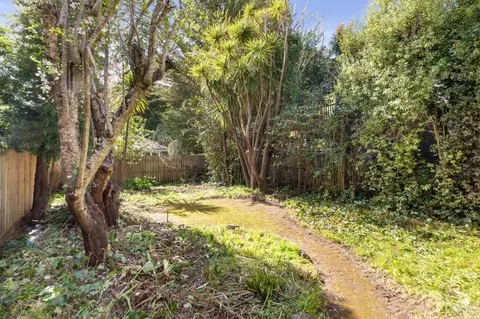 73 Lovell Ave, Mill Valley, CA 94941 photo 35