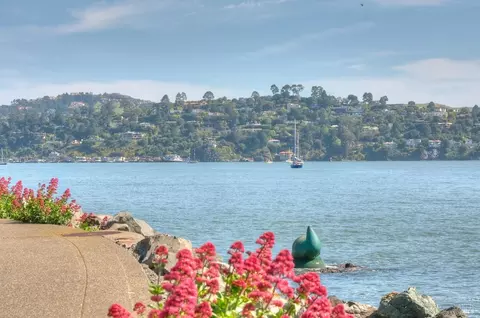 View/Area - Undisclosed, Sausalito, CA 94965 photo 21 of 21