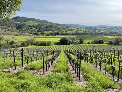 4060 Monticello Rd, Napa, CA 94558