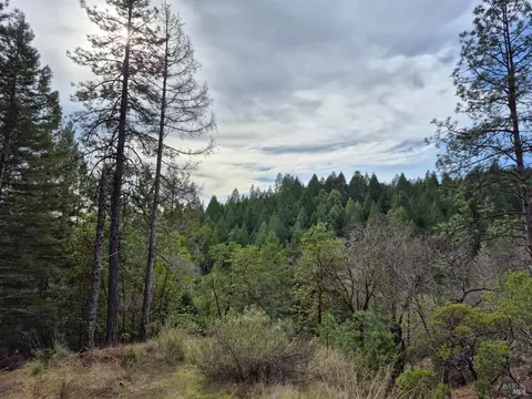 5376 Wild Iris Ln, Willits, CA 95490 photo 22