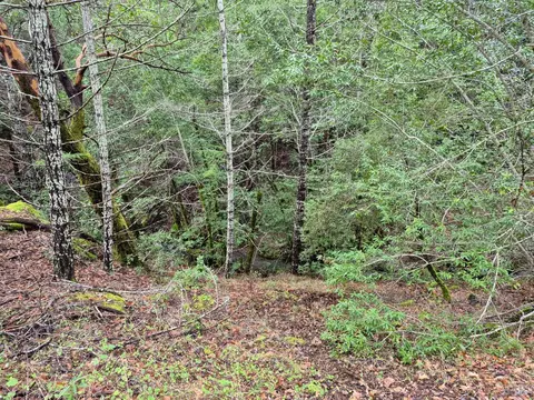 5376 Wild Iris Ln, Willits, CA 95490 photo 12
