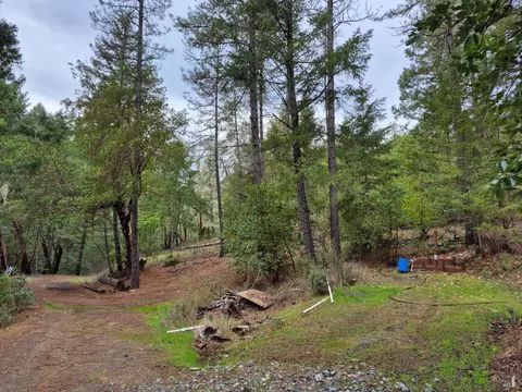 5376 Wild Iris Ln, Willits, CA 95490 photo 10