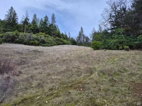 5376 Wild Iris Ln, Willits, CA 95490