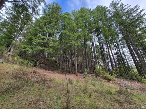 5376 Wild Iris Ln, Willits, CA 95490 photo 18
