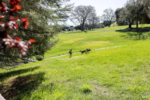 Other - 1101 Maple Ave, Ukiah, CA 95482 photo 6 of 26