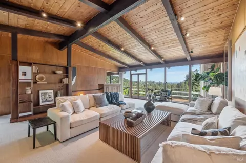 45 Beverly Ter, Mill Valley, CA 94941 photo 9