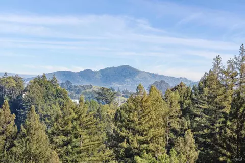 45 Beverly Ter, Mill Valley, CA 94941 photo 41