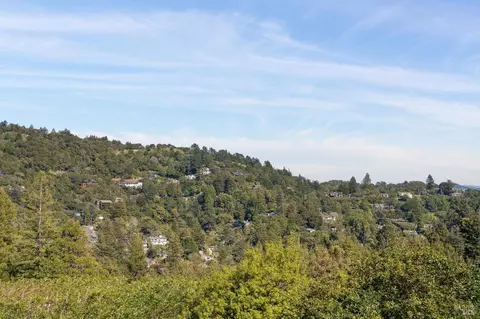 45 Beverly Ter, Mill Valley, CA 94941 photo 42