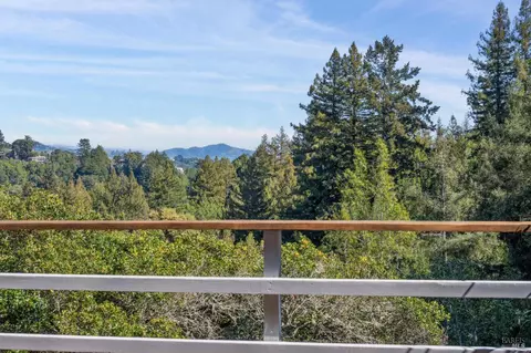 45 Beverly Ter, Mill Valley, CA 94941 photo 44
