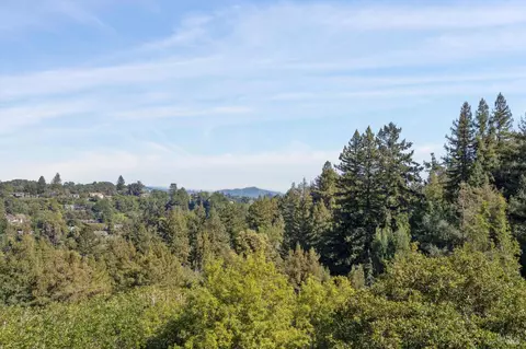 45 Beverly Ter, Mill Valley, CA 94941 photo 40