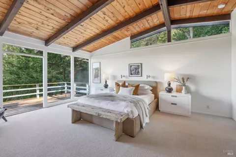 45 Beverly Ter, Mill Valley, CA 94941 photo 18