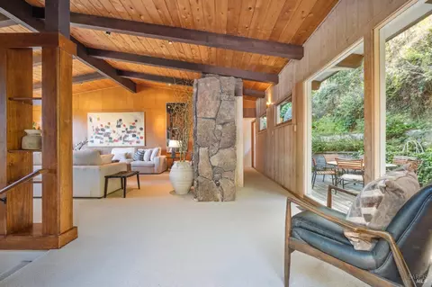 45 Beverly Ter, Mill Valley, CA 94941 photo 38