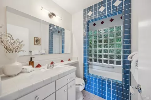 45 Beverly Ter, Mill Valley, CA 94941 photo 20