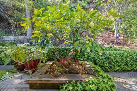 45 Beverly Ter, Mill Valley, CA 94941 photo 33