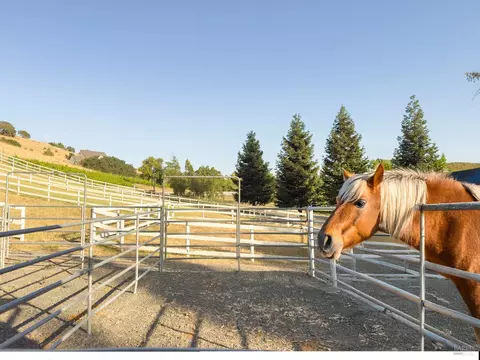 Other - 4560 Lovall Valley Loop Rd, Sonoma, CA 95476 photo 18 of 24