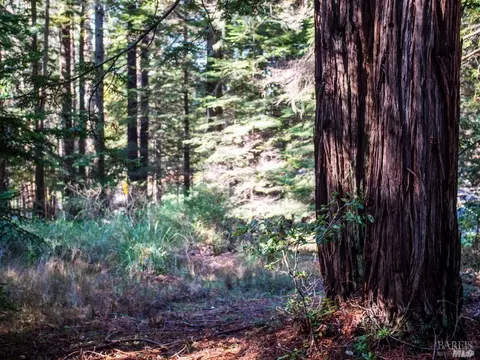 46990 Getchell Gulch Rd, Gualala, CA 95445 photo 4