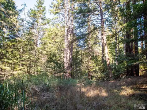 46990 Getchell Gulch Rd, Gualala, CA 95445 photo 10