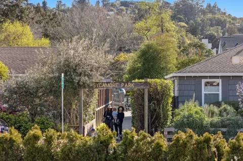 277 Sycamore Ave, Mill Valley, CA 94941 photo 32