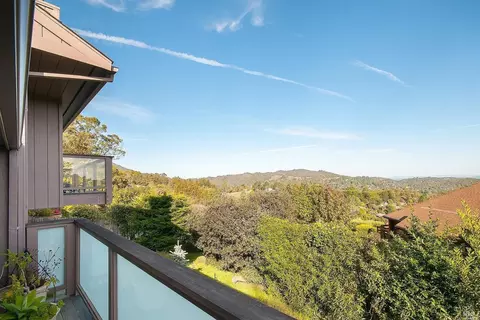 652 Amaranth Blvd, Mill Valley, CA 94941 photo 39