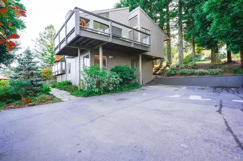 652 Amaranth Blvd, Mill Valley, CA 94941 photo 34