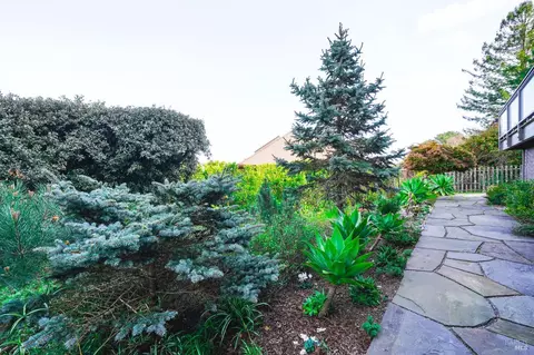 652 Amaranth Blvd, Mill Valley, CA 94941 photo 35