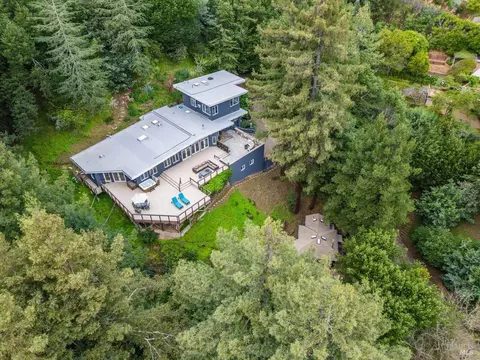 224 Magee Ave, Mill Valley, CA 94941 photo 58
