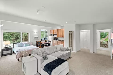 224 Magee Ave, Mill Valley, CA 94941 photo 42