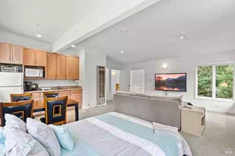 224 Magee Ave, Mill Valley, CA 94941 photo 44