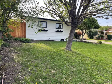 1208 Temple Dr, Pacheco, CA 94553 photo 4