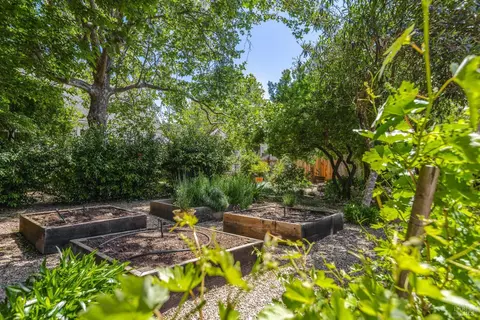 331 1st St, Healdsburg, CA 95448 photo 29