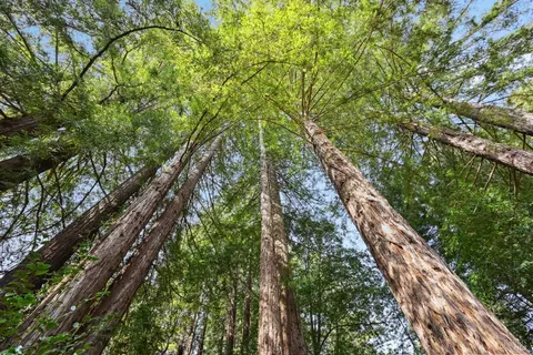 1776 Jonive Rd, Sebastopol, CA 95472 photo 40