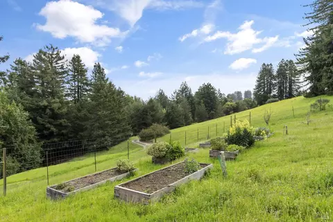 Exterior - 685 Jonive Rd, Sebastopol, CA 95472 photo 9 of 15