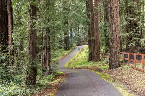 Other - 685 Jonive Rd, Sebastopol, CA 95472 photo 28 of 29