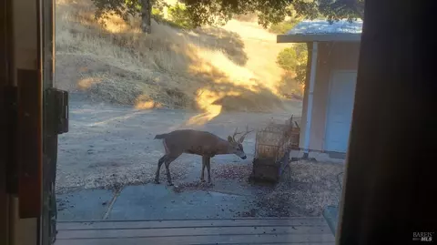 Other - 4950 Bartlett Springs Rd, Nice, CA 95464 photo 16 of 16