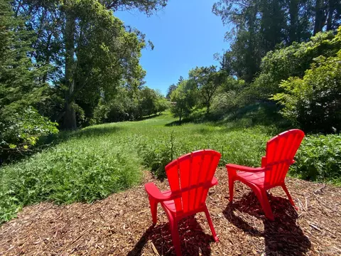 408 Laverne Ave, Mill Valley, CA 94941