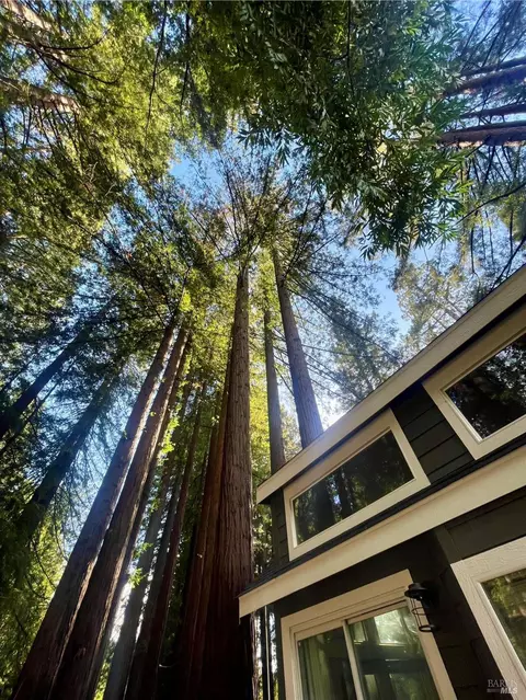 14755 Armstrong Woods Rd #23, Guerneville, CA 95446