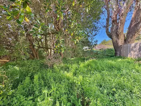 1565 Bay Flat Rd, Bodega Bay, CA 94923 photo 10