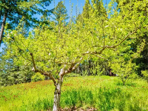 Other - 10951 Big Meadow Rd, Philo, CA 95466 photo 6 of 9