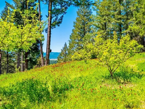 Exterior - 10951 Big Meadow Rd, Philo, CA 95466 photo 17 of 18