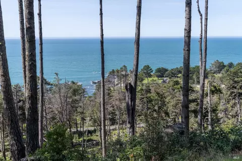 22003 Smith Ct, Timber Cove, CA 95450