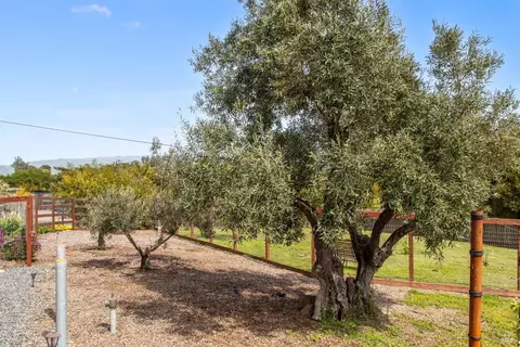 Exterior - 9123 Red Hill Ct, Cotati, CA 94931 photo 3 of 31