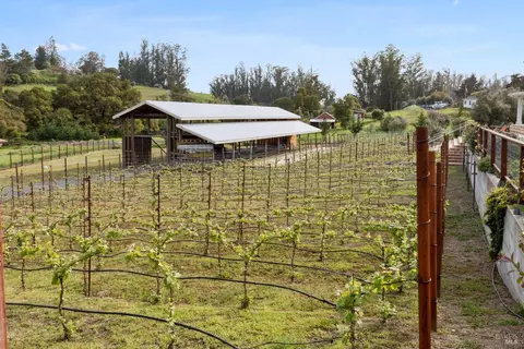 Exterior - 9123 Red Hill Ct, Cotati, CA 94931 photo 21 of 31