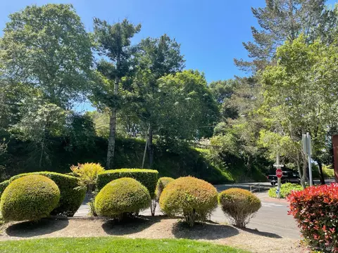105 Virginia Ave #1, Sebastopol, CA 95472