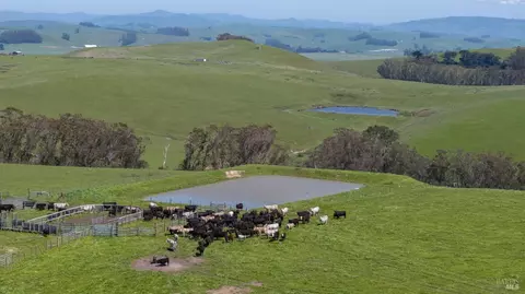 1400 Dillon Beach Rd, Tomales, CA 94971 photo 19