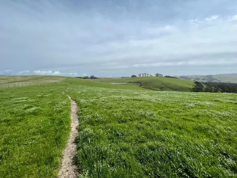1400 Dillon Beach Rd, Tomales, CA 94971 photo 29