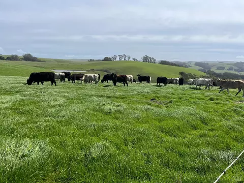 1400 Dillon Beach Rd, Tomales, CA 94971 photo 35
