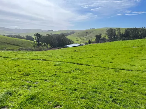 1400 Dillon Beach Rd, Tomales, CA 94971 photo 27