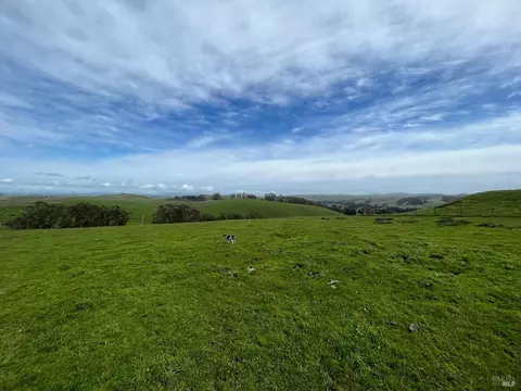 1400 Dillon Beach Rd, Tomales, CA 94971 photo 44