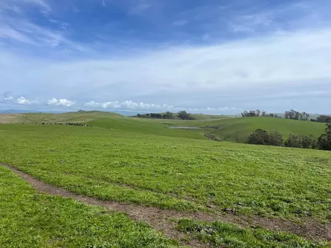 1400 Dillon Beach Rd, Tomales, CA 94971 photo 38